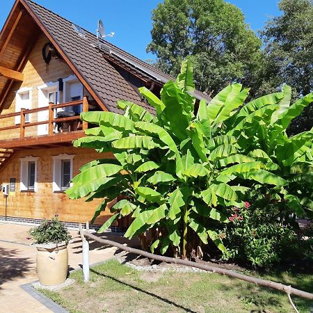 SALUS Spreewald - Erholung&Natur - Kolonie  Exterior foto
