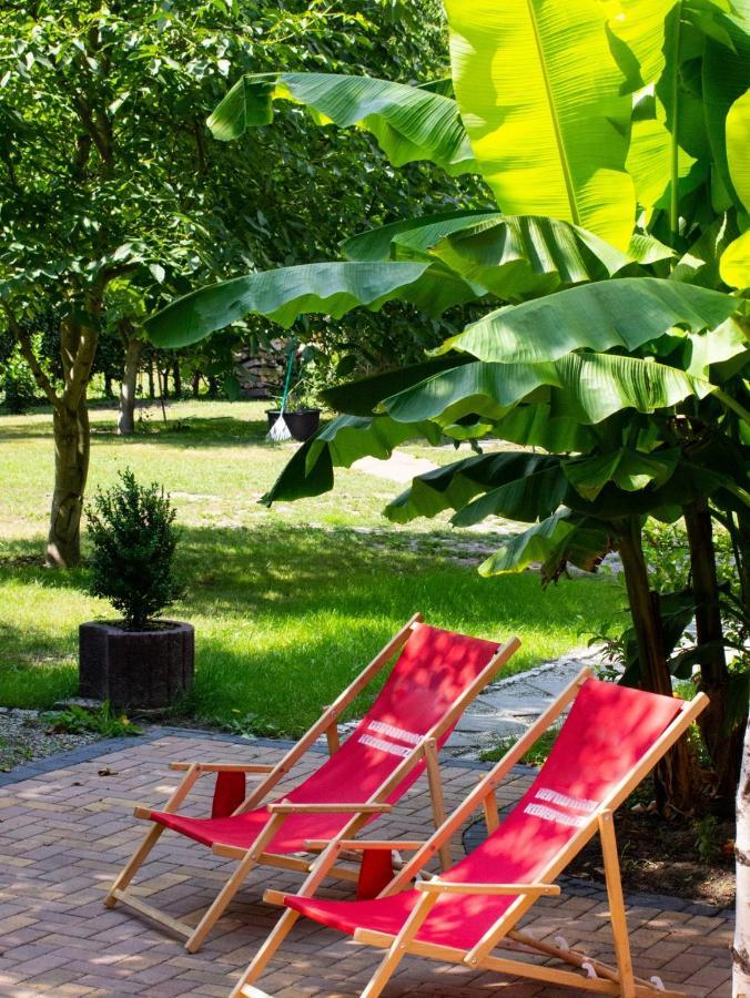 SALUS Spreewald - Erholung&Natur - Kolonie  Exterior foto
