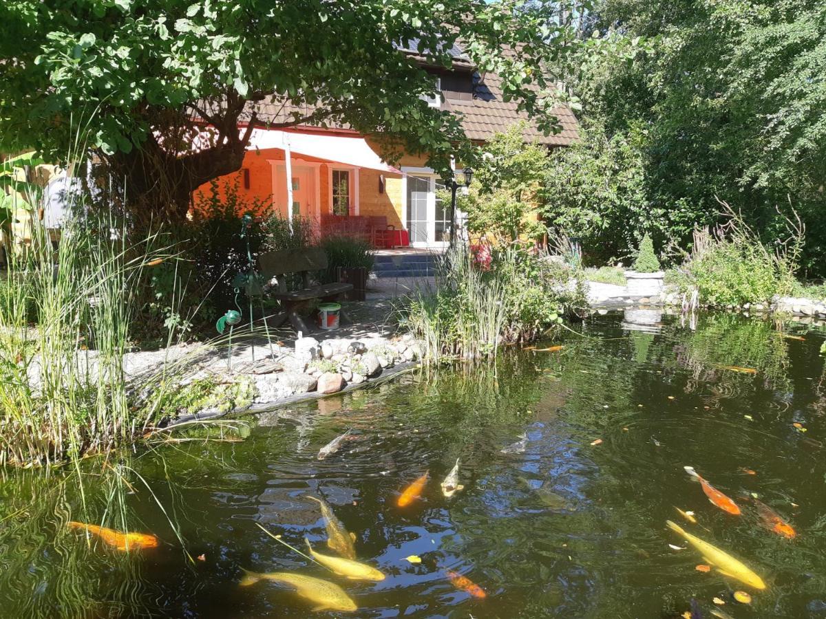 SALUS Spreewald - Erholung&Natur - Kolonie  Exterior foto